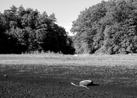 Kenoza Lake Island Antique Tire- 2026 Summer Drought BW