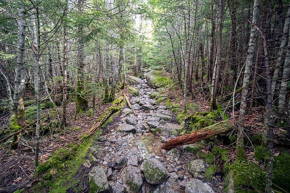 Hunt Trail - Stream - Mount Katahdin II