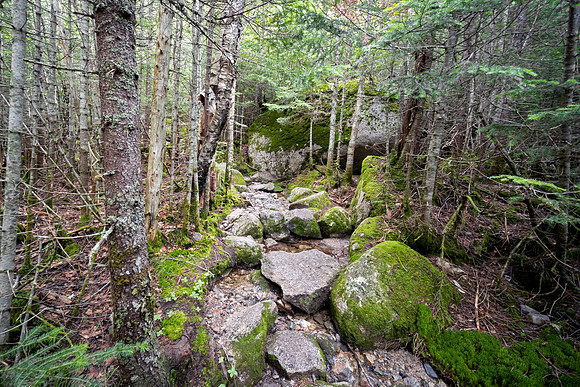 Hunt Trail - Stream - Mount Katahdin