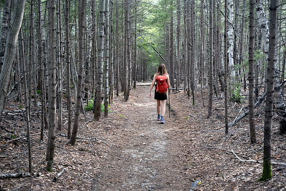 Maine Hiker - Mount Katahdin - Abol Trail - Female