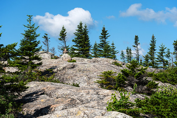 Mount Chocorua - Middle Sister Trail On Third Sister Peak
