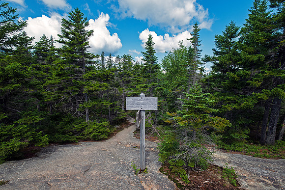 Mount Chocorua - Middle Sister Trail Sign Post