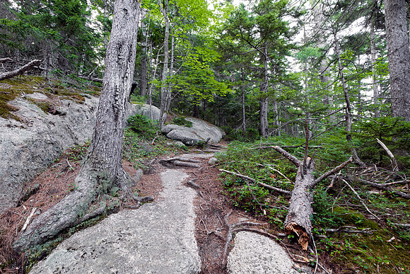 Mount Chocorua - Nickerson Ledge Trail II