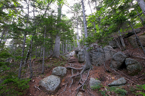 Mount Chocorua - Nickerson Ledge Trail