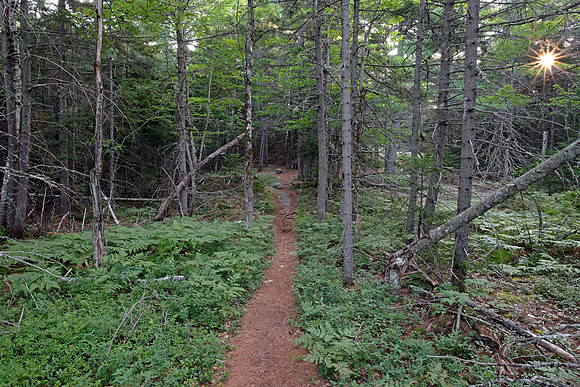 Mount Chocorua - Nickerson Ledge Trail III