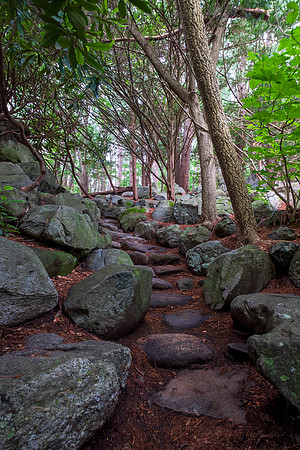 Stone Path winds through the Forest - Massachusetts