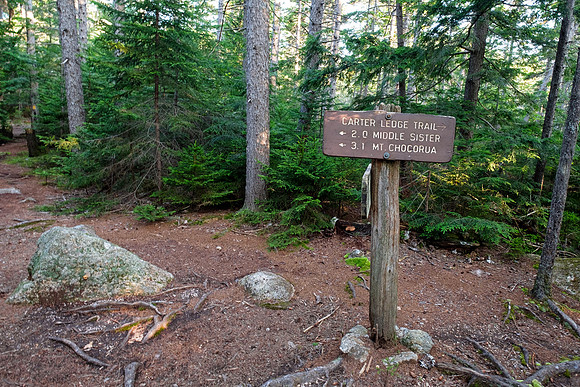 Mount Chocorua - Carter Ledge Trail Junction