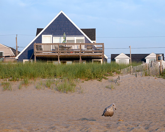 Salisbury Beach Cottages - Seagull Foreground
