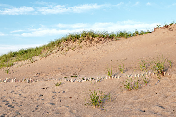 Sand Dune - Massachusetts