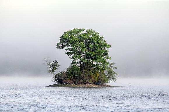 Island - Fog