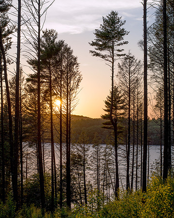 Kenoza Lake Sunset - Trees