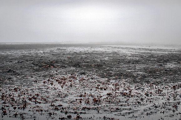 Barren Lake Bed - Fog