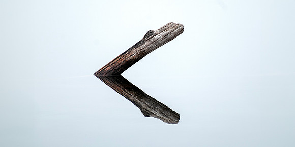 Downed Tree - Lake Reflection