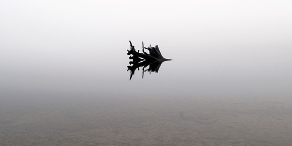 Lake Fading Into The Fog