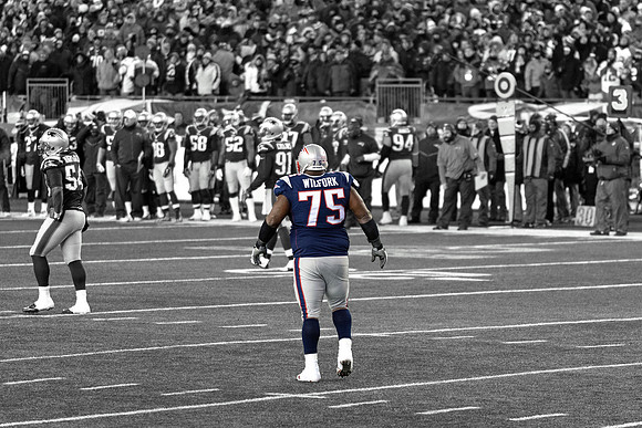 Vince Wilfork
