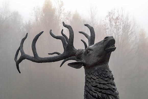 Winnekenni Elk - Autumn Fog